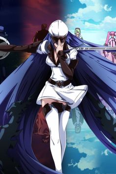 Qui est le Meilleur Perso d'Akame Ga *ill ?