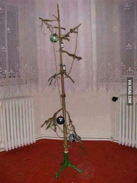 Best Christmas Tree European Capitals
