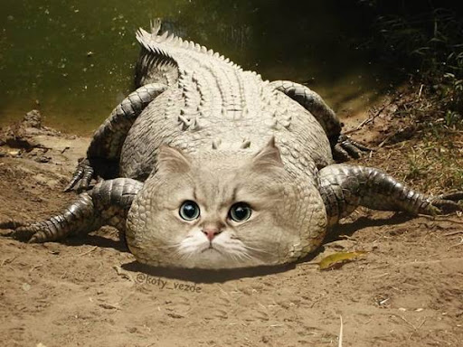 Hybrid Animals