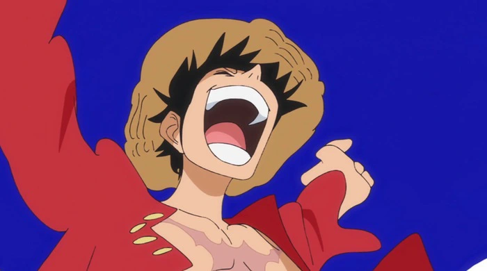 one piece best panels