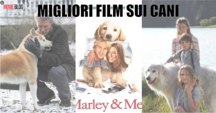 Miglior film sui cani