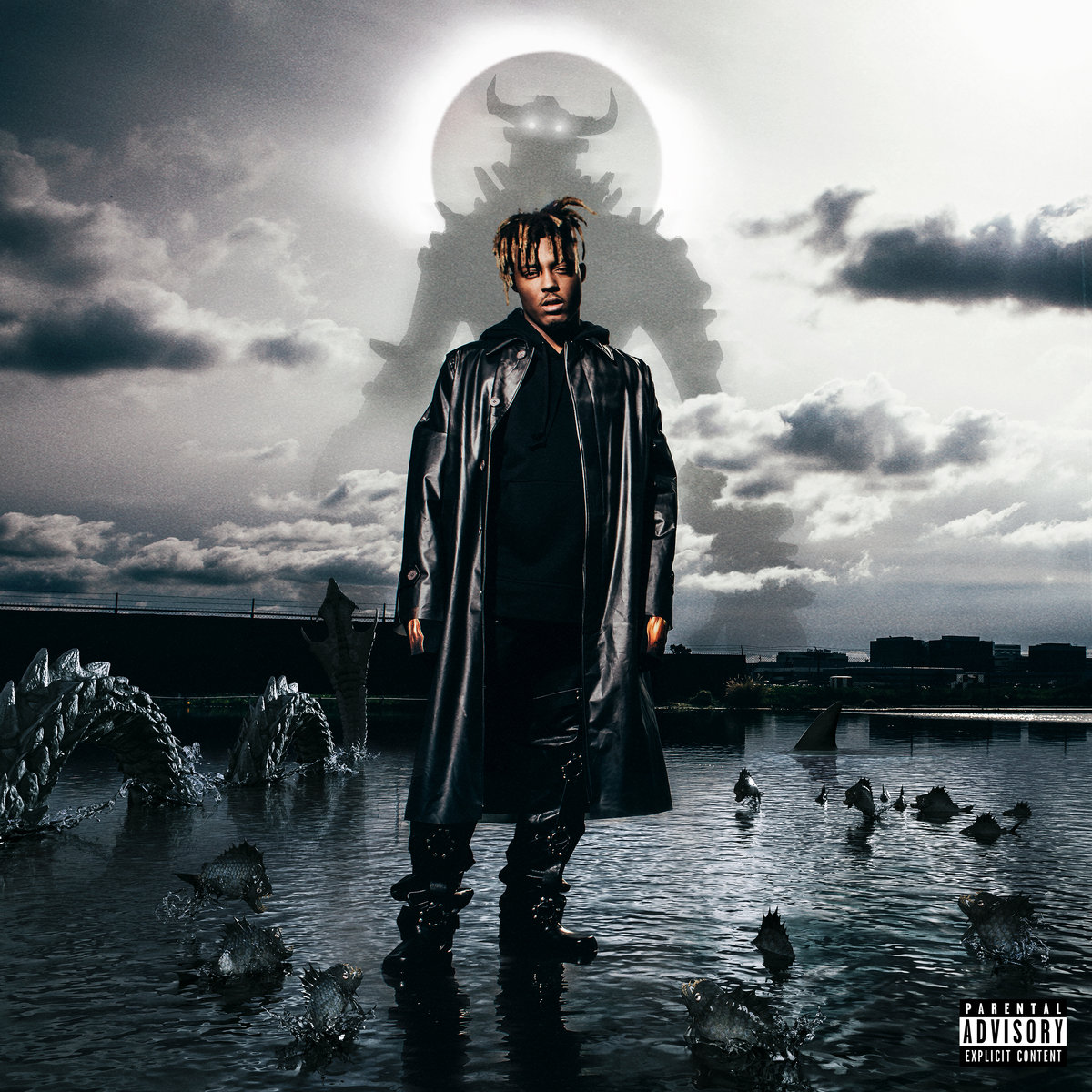 Fighting Demons JUICE WRLD