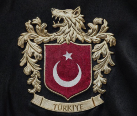 EN İYİ TÜRK FUTBOLCU 256