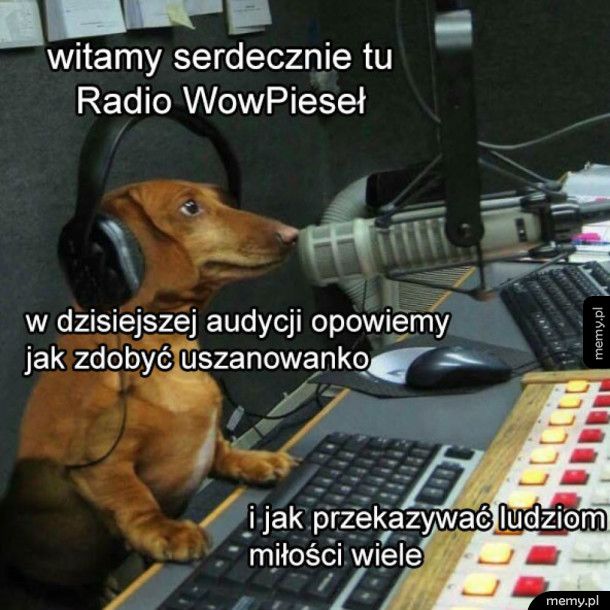 Radio z radia