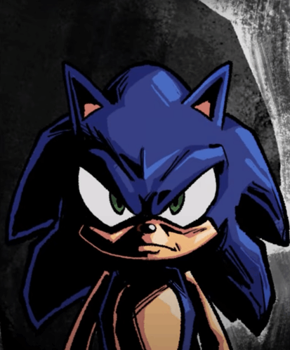 Gamescage 3D Sonic Level Bracket (Second Half)
