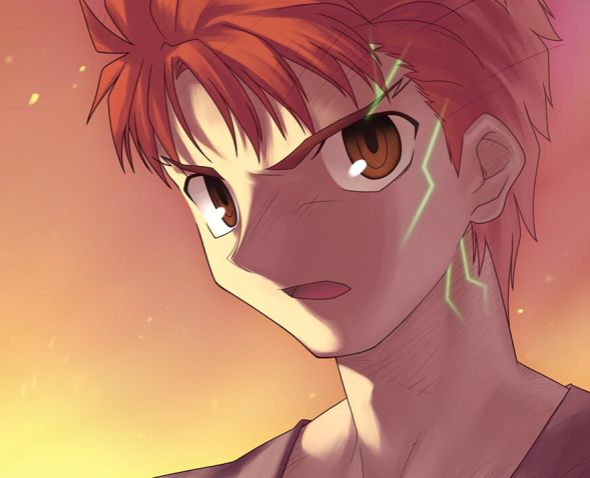 Nasuverse VS