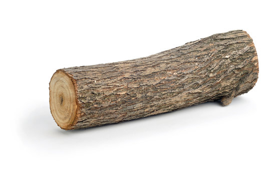 log