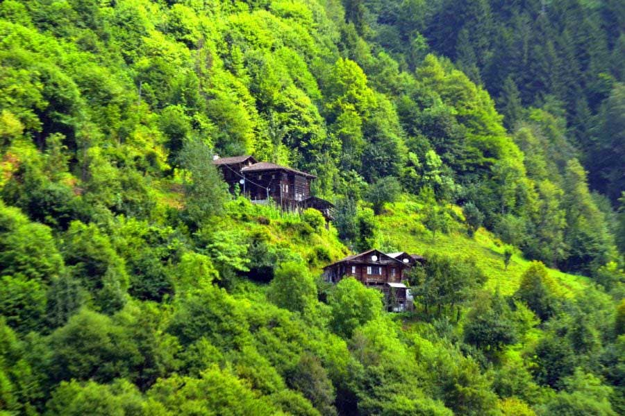 En iyi karadeniz şarkısı