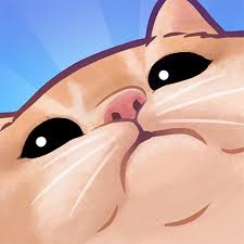 Squewe top 5
