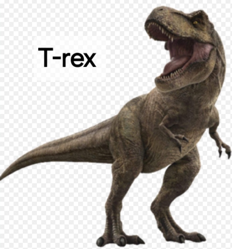 The dinosaur you like most?
