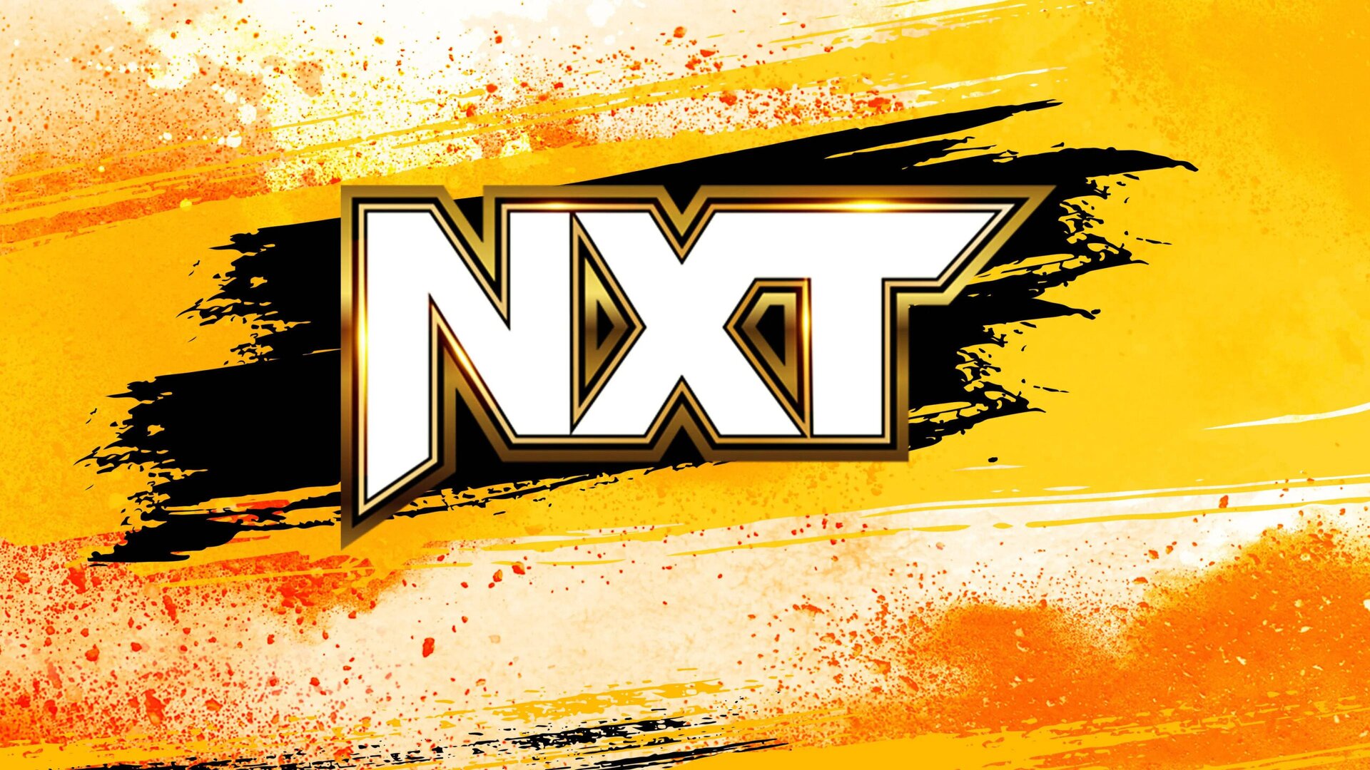 NXT Women's Division