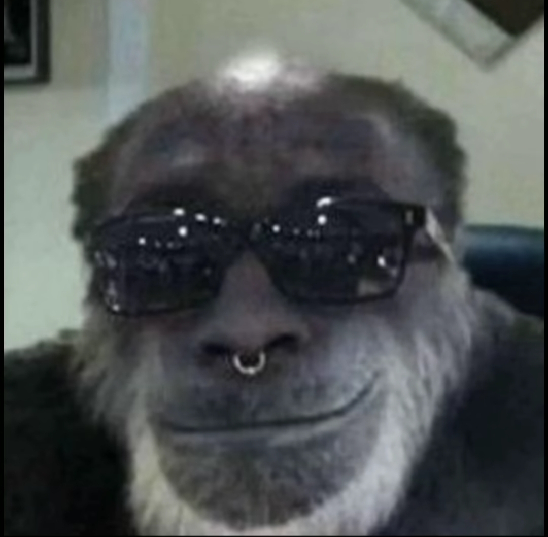 SHAKTAR DOS LEKS