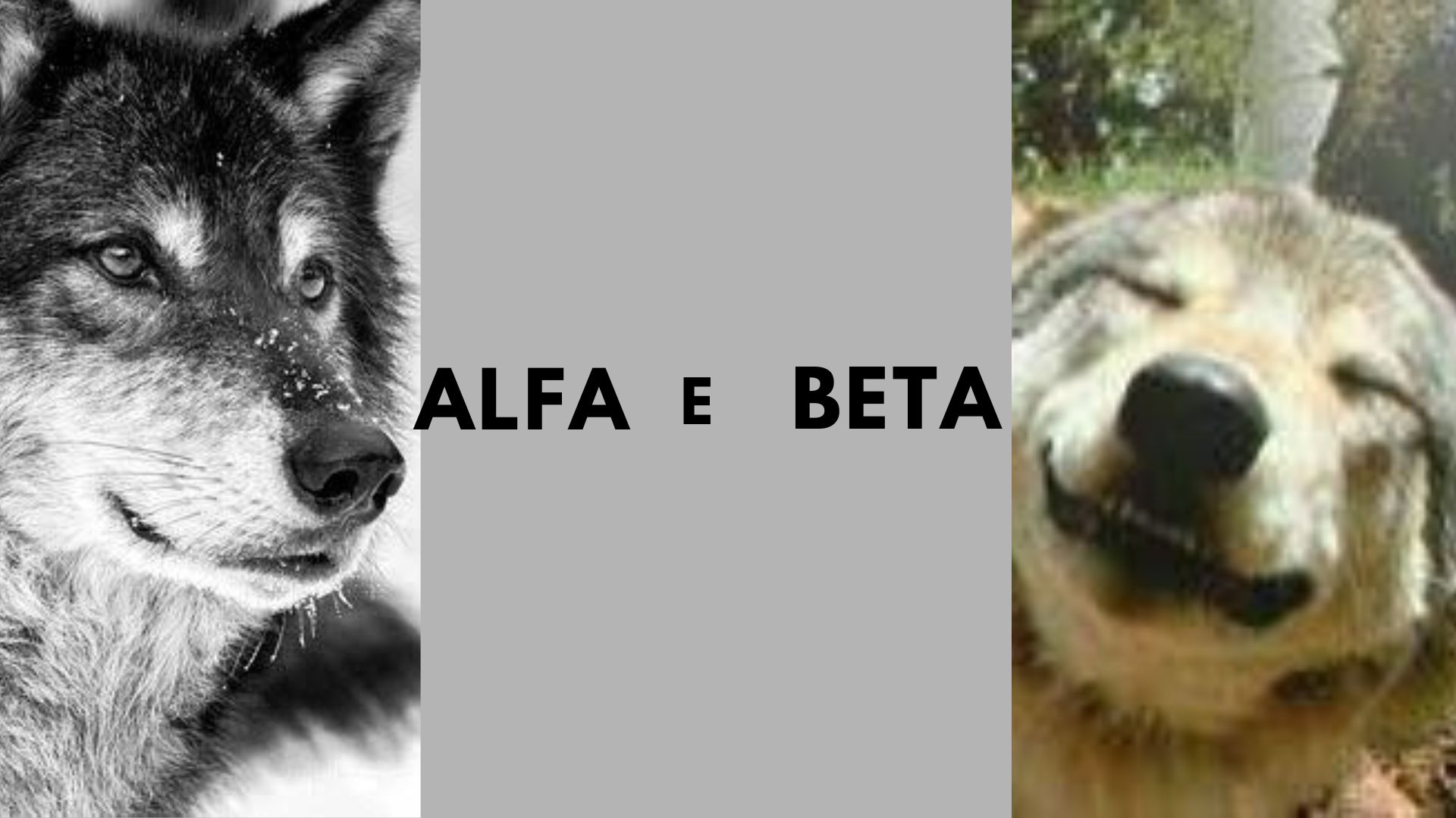 personagens Beta e personagens alfa