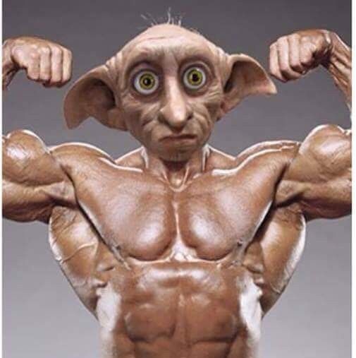 DOBY TATTOO CONTEST