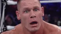 WWE Is This Your Finishers ?