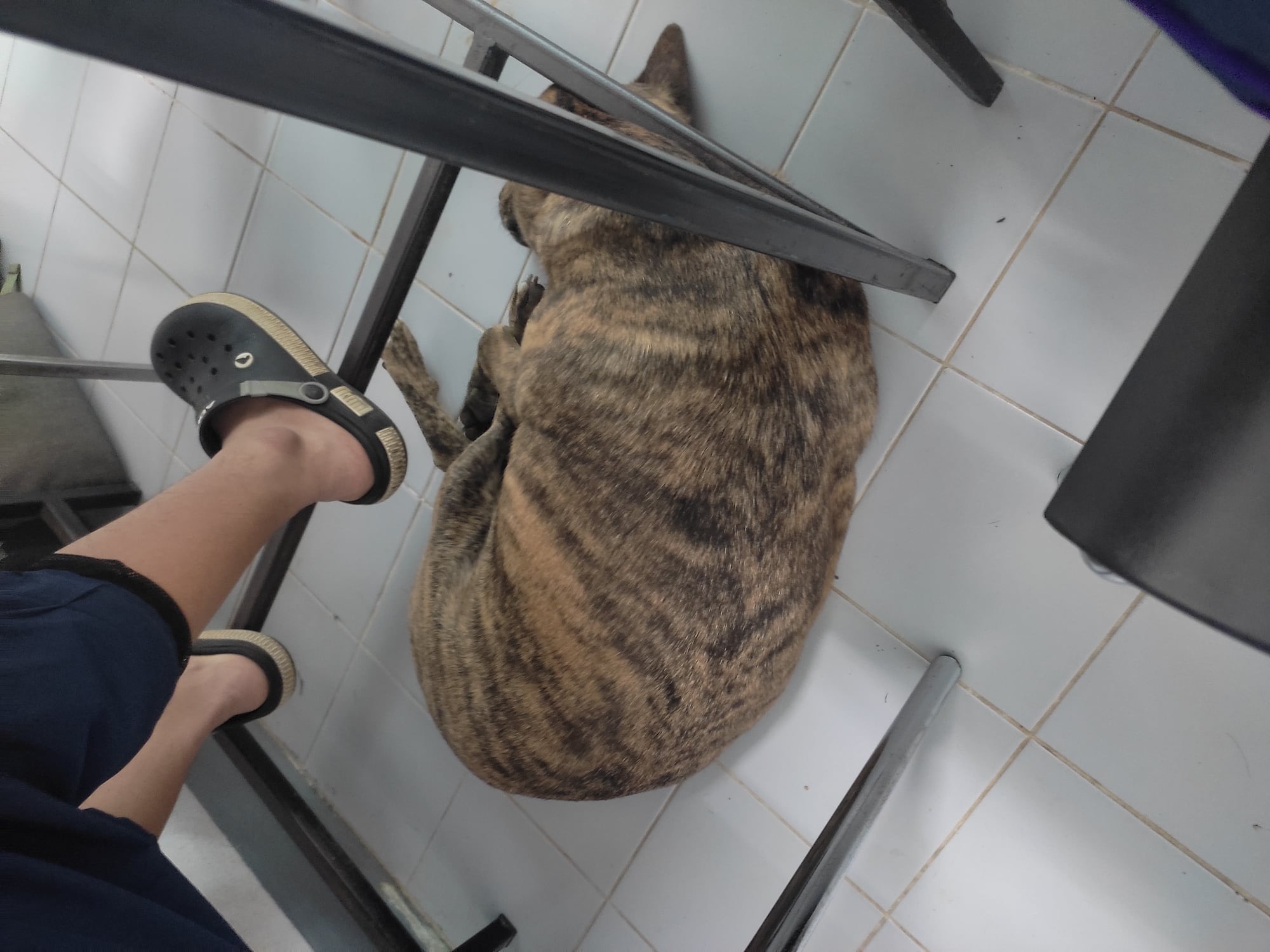 ววววววว