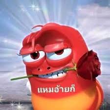 จัดเล่นๆ