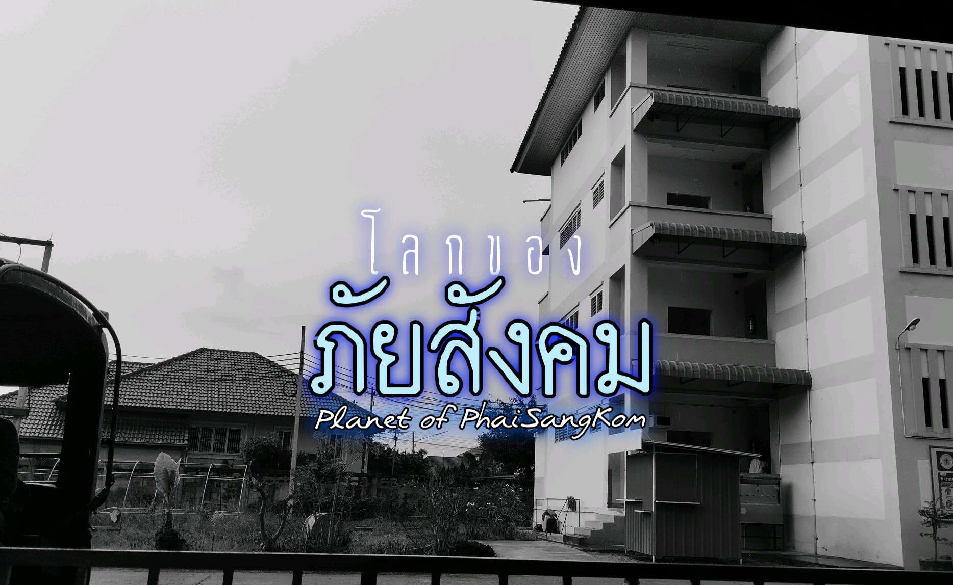 หมาศึกภัยสังคมชนภัยสังคม 2024