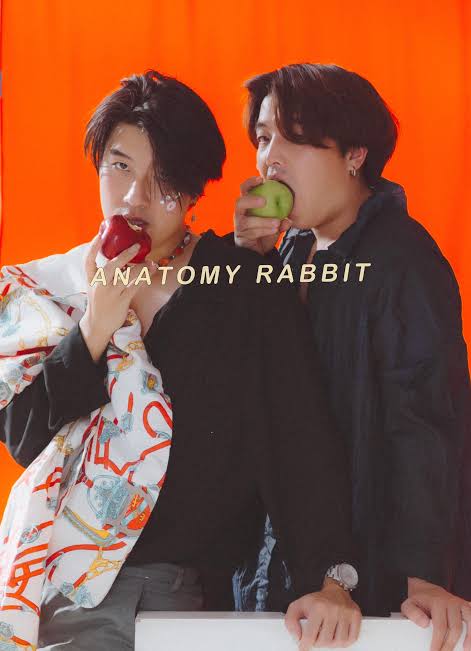 เพลงanatomy rabbit ที่คุณชอบ