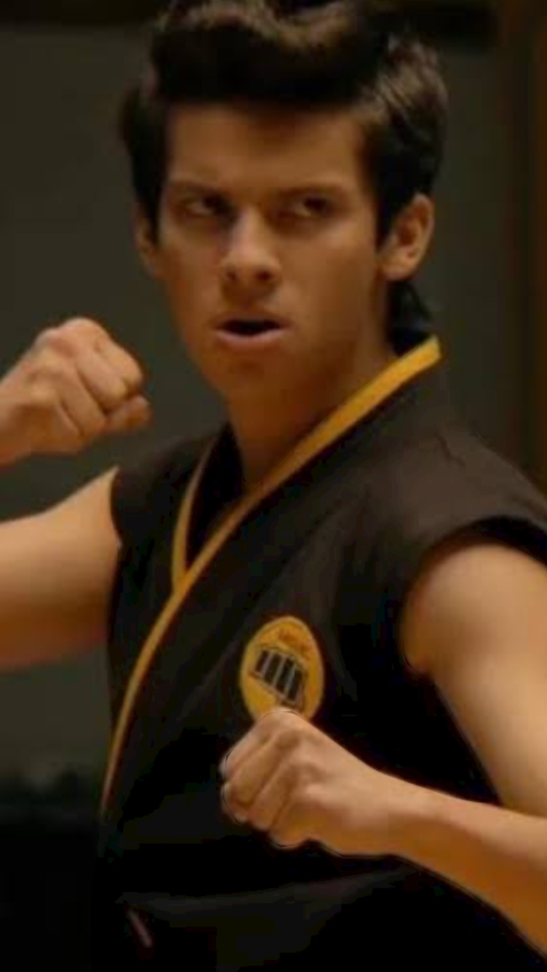 Cobra Kai Season 1 All Valley