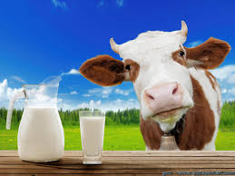Tournoi De Lait Ultime