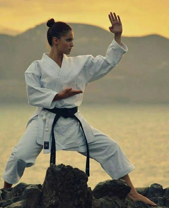 Choose your favourite Shotokan kata