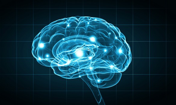 Persos les plus intelligents