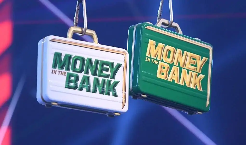 WWE Baddest Cash In