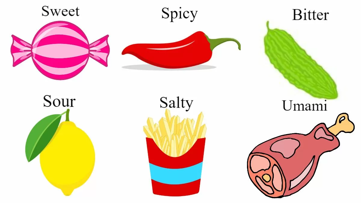 the best taste