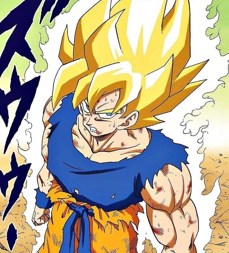 Animanga forms