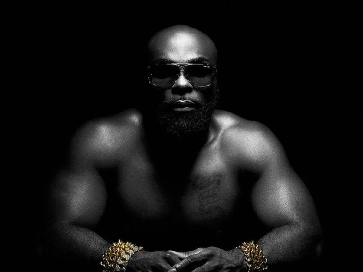 Kaaris