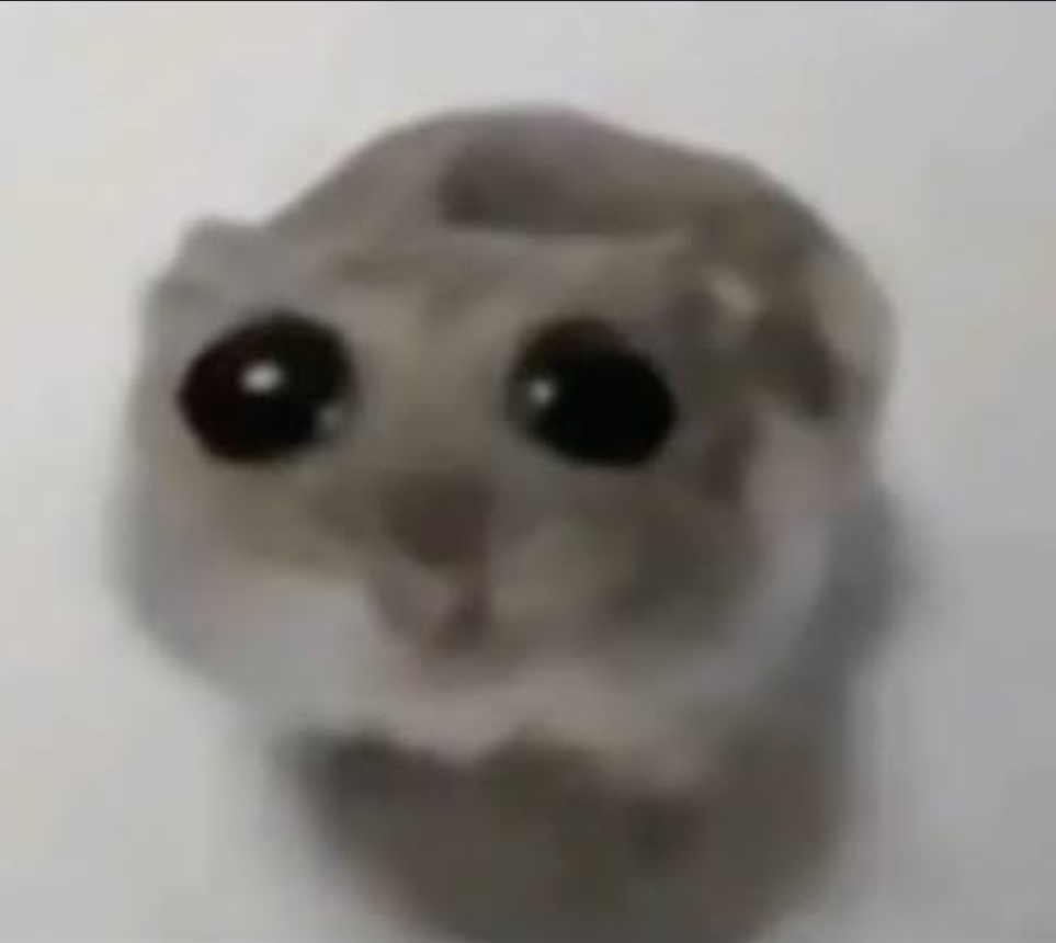 HANGİSİNİ SİKMEK İSTERDİN