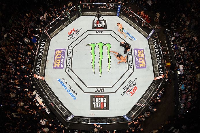 Kapsamlı En İyi UFC Dövüşçüsü