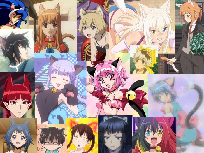 Hottest Animal Ears&Animal Girl Character