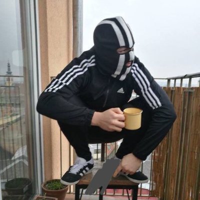 ANON PRİMAT TEŞKİLATI