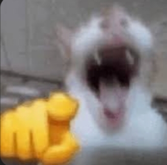 Ranking of pet animals ver.meme