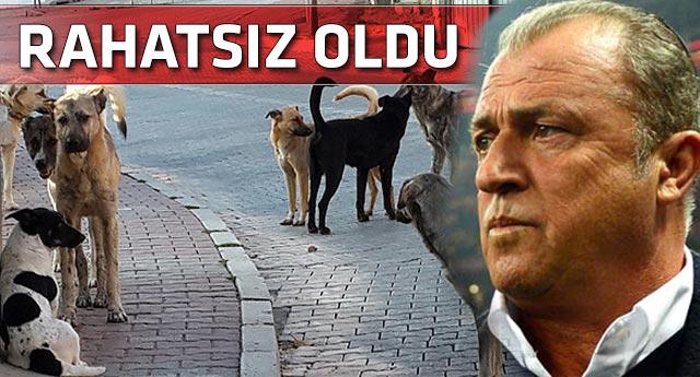 Rahatsız edici Fenerbahçe transferleri