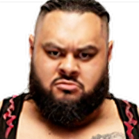 Definitive Wrestling theme