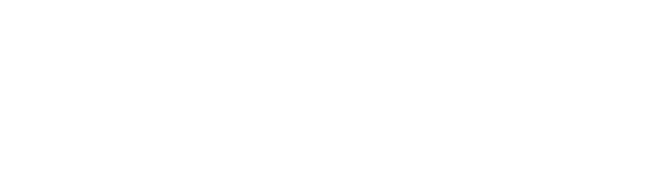 SINGOLO PREFERITO TROYAMAKI