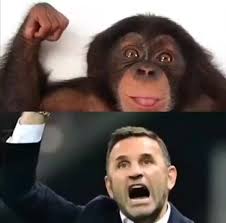turk footbal memes