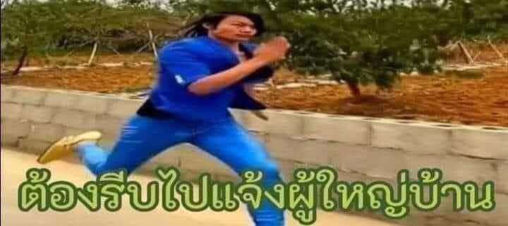 เลือกสิ่งมีชีวิตที่น่าสนใจ