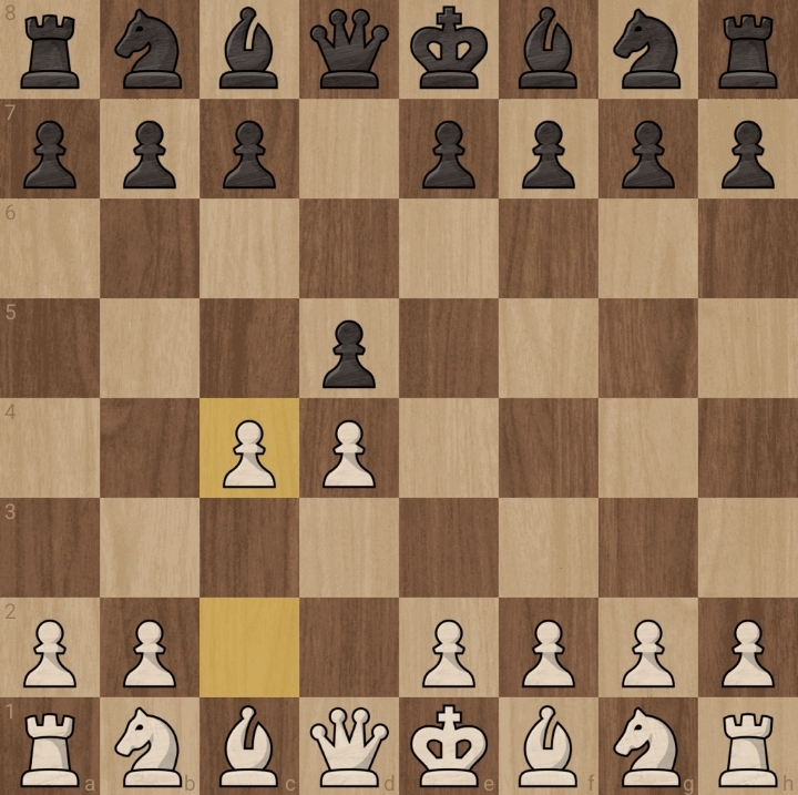 What is the best chess opening