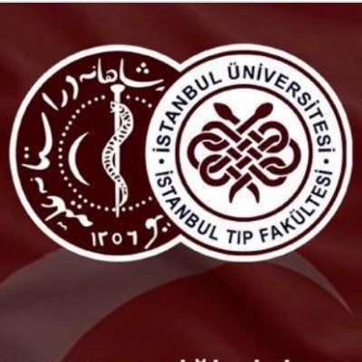 5. Sınıf Stajları