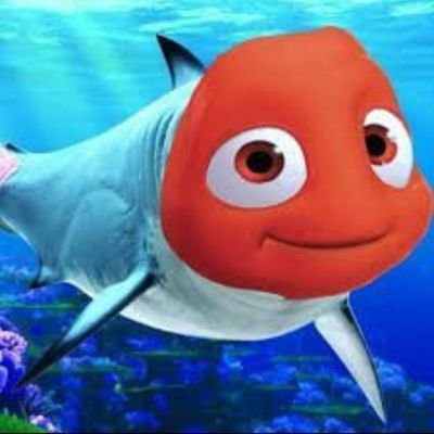 NEMO EN GÜZEL KARI KİM YARIŞMASI