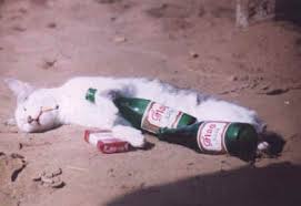 Alcohol's world cup