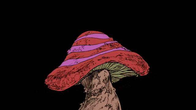 Melhores Ops e Eds de DOROHEDORO