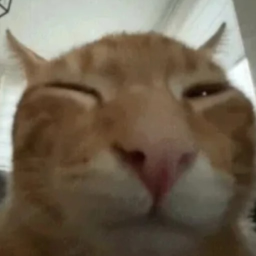 Liiga Maali Laulu Torvi UwU Sigma Skibidi