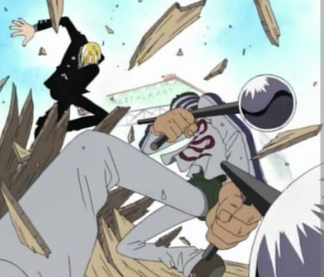 Sanji fights