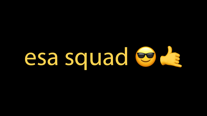 najlepszy esa squadowicz 😎🤙