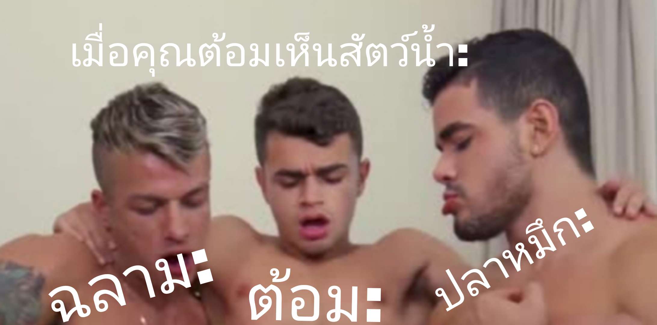 ก้องร้อยจัดกันเอง